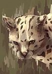 Illustration Digital Painting Animal Wildcat Stock Photo